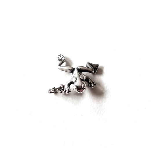 Tree Frog Charm 🐸 - Picture 1 of 4